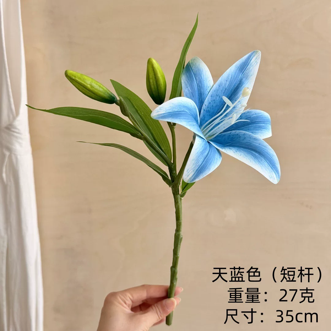 Sky Blue